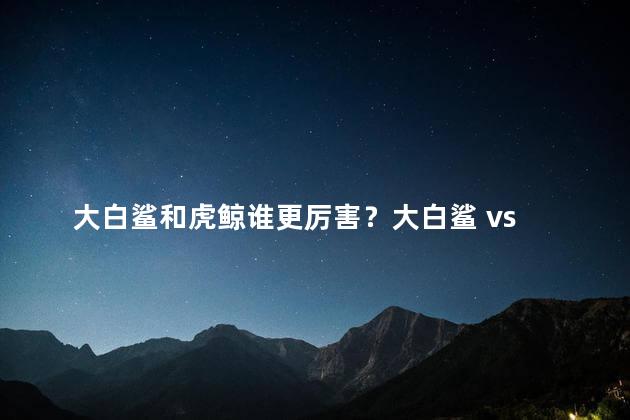 大白鲨和虎鲸谁更厉害？大白鲨 vs 虎鲸：谁更强大？